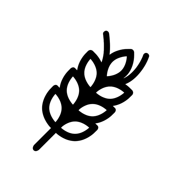 Wheat-outline